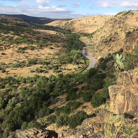 Koedoeskop Private Mountain Reserve Waterford Luaran gambar