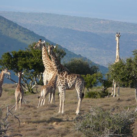 Koedoeskop Private Mountain Reserve Waterford Luaran gambar