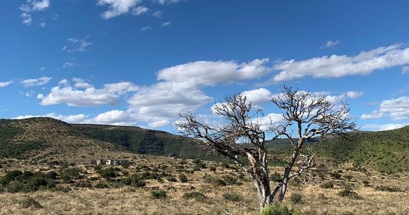 Koedoeskop Private Mountain Reserve Waterford Luaran gambar