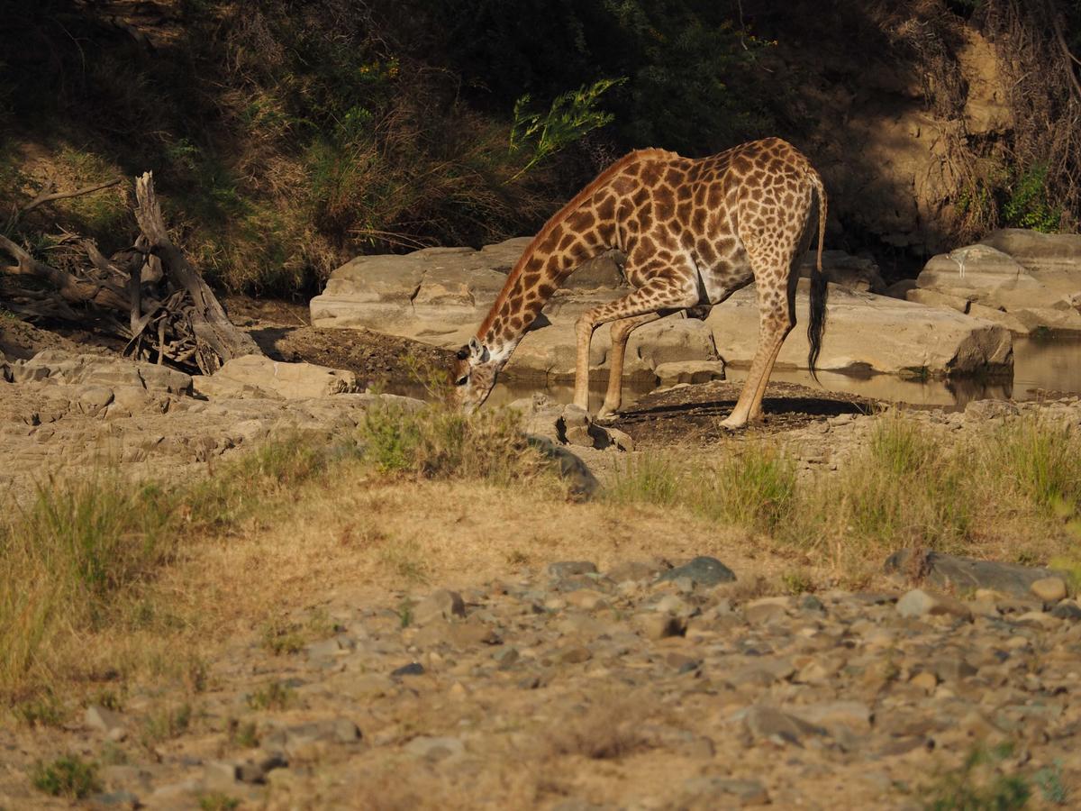 Koedoeskop Private Mountain Reserve Waterford Luaran gambar