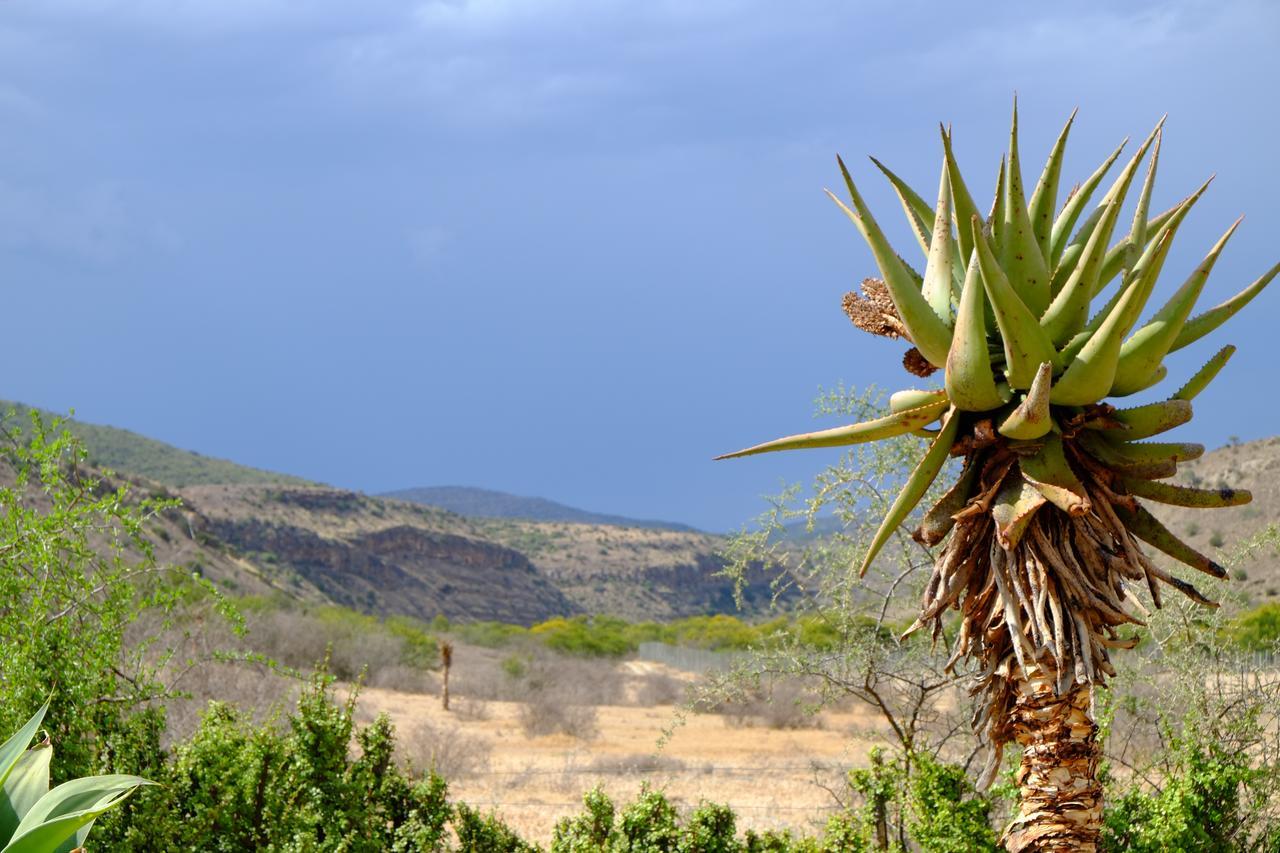 Koedoeskop Private Mountain Reserve Waterford Luaran gambar